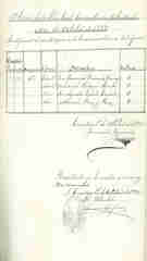 Documento338