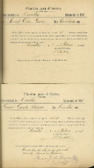 documento131