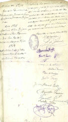 Documento11