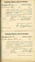 Documento113