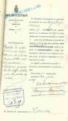 Documento228