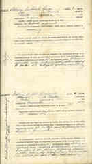 Documento 117