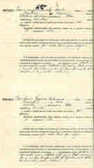Documento 128