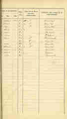 Documento 4