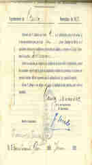 Documento 7