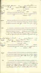 Documento 3