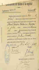 Documento 5