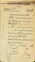 Documento 7