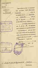 Documento163