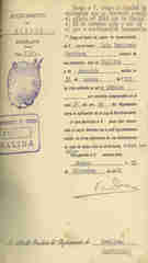 Documento167