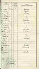 Documento176