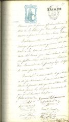 Documento155