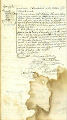 Documento48
