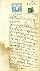 Documento49