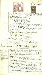 documento12