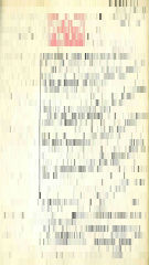 documento22