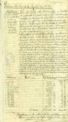 documento80