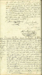 Documento56