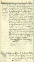 Documento81