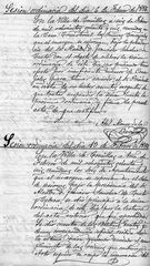 documento81