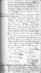 documento175