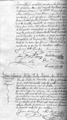 documento254