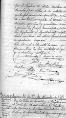 documento317