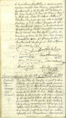Documento61