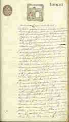 Documento81