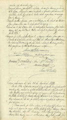 documento31