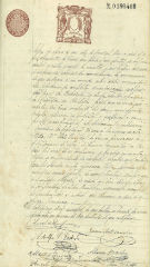 Documento61