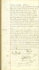 documento49