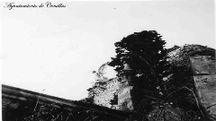 Cementerio