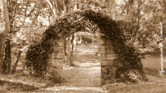 Palacio