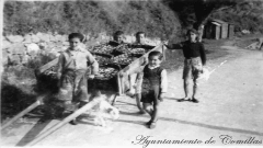 Comercio