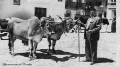 Ganaderia