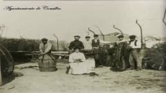 Pesca