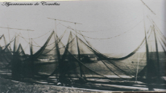Pesca