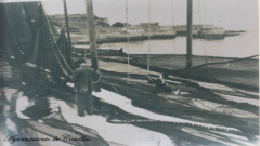 Pesca