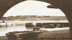 Pesca