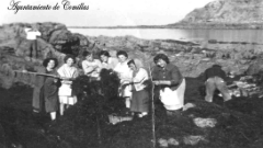 Pesca