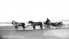 Transporte