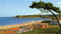 Playa